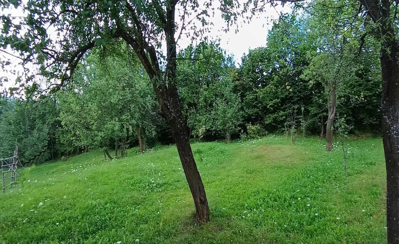 Villa Casuta Din Livada Moisei Exterior foto