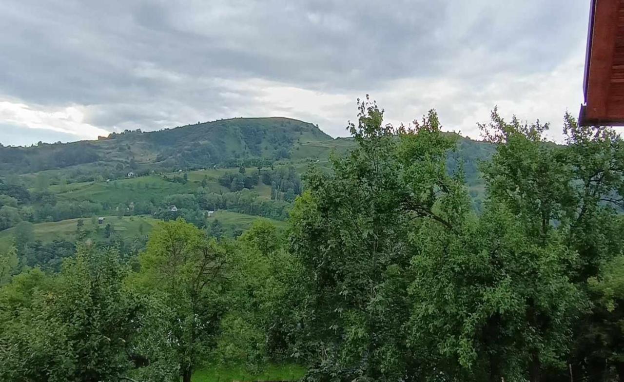 Villa Casuta Din Livada Moisei Exterior foto